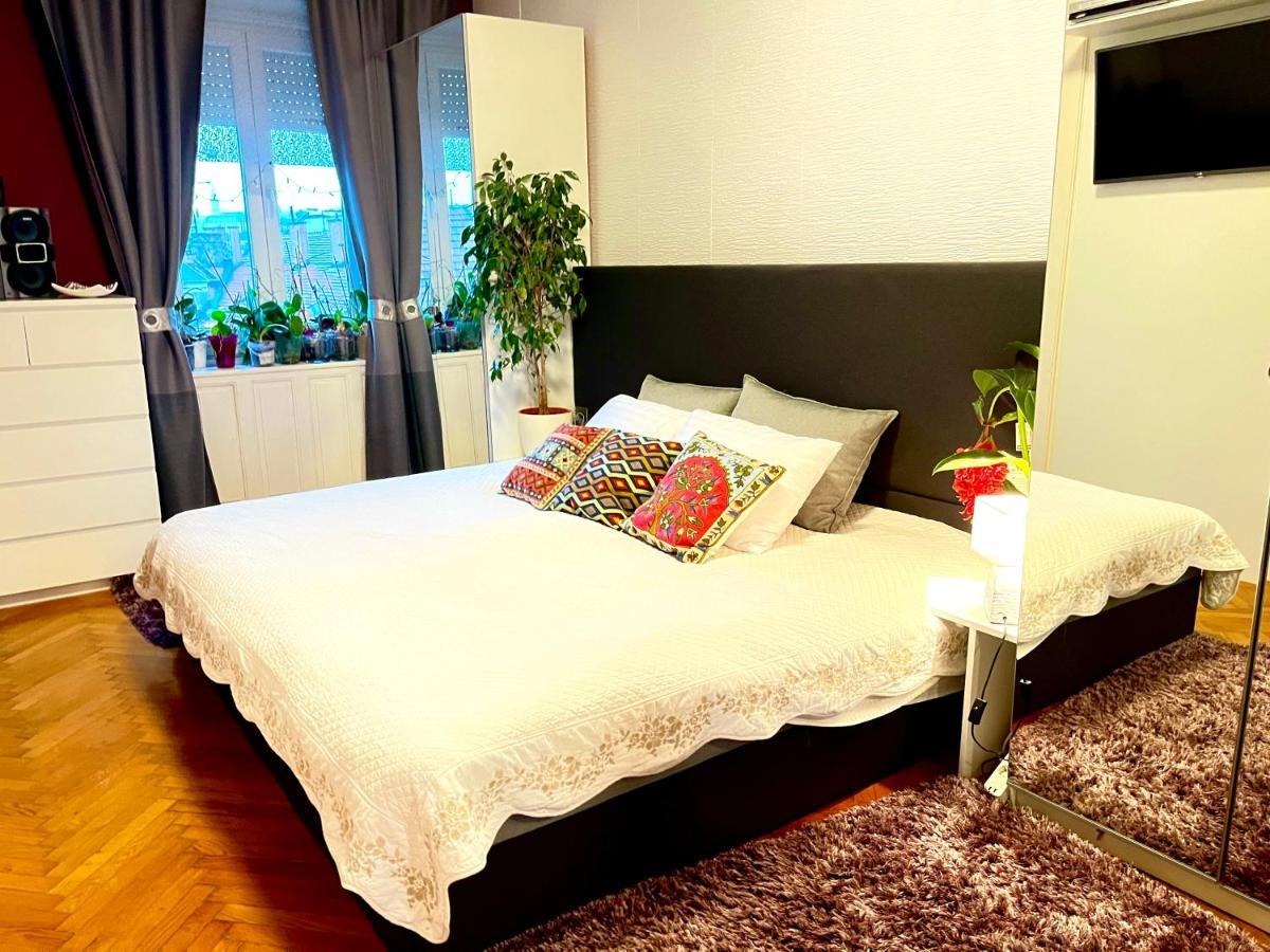 דירות בודפשט Margaret Bridge Cosy Flat מראה חיצוני תמונה